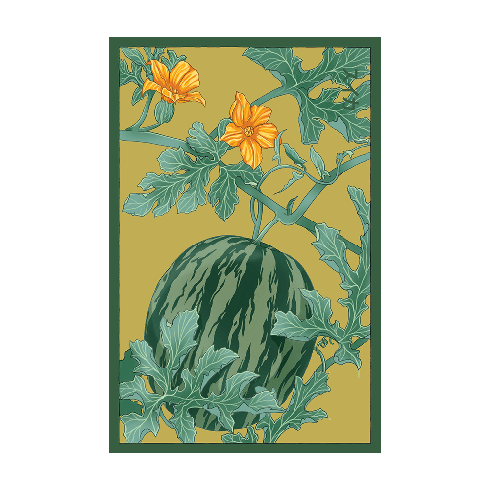 Watermelon Flower Seeds Packet - Chive UK Wholesale