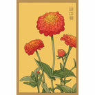 Zinnia Flower Seeds Packet - Chive UK Wholesale