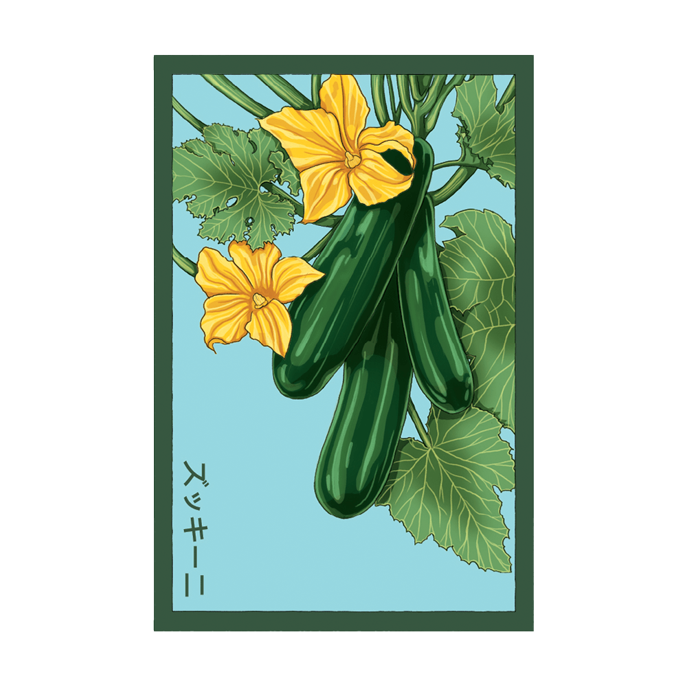 Zucchini Vegetable Seeds Packet - Chive UK Wholesale