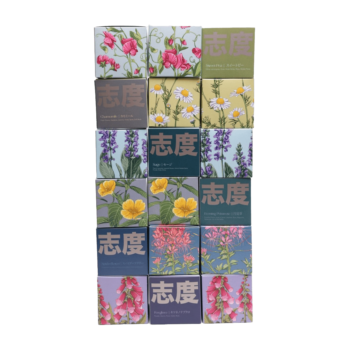 Shido Coconut & Soy Blend Sweet Pea Candle - Chive UK Wholesale