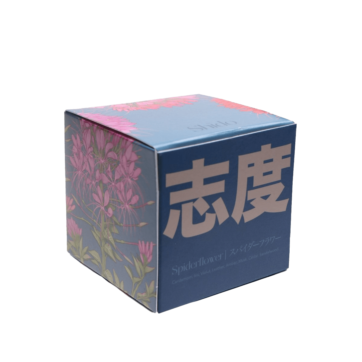 Shido Coconut & Soy Blend Spiderflower Candle - Chive UK Wholesale