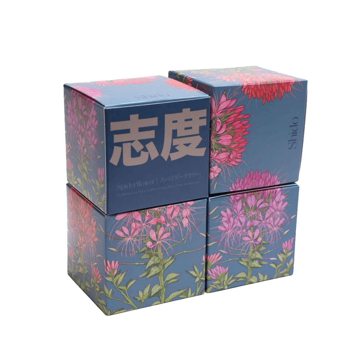 Shido Coconut & Soy Blend Spiderflower Candle - Chive UK Wholesale