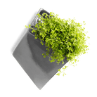 Slab Wall Planter For Succulents - Chive UK Wholesale