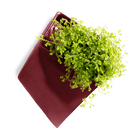 Slab Wall Planter For Succulents - Chive UK Wholesale