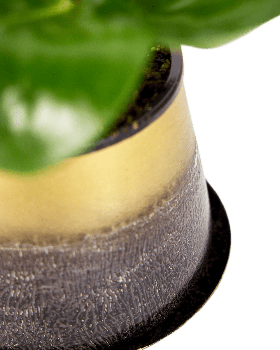 Joe Metal Pot With Drainage Hole - Chive UK Wholesale