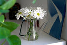 Sprocket Glass Modern Watering Container - Chive UK Wholesale