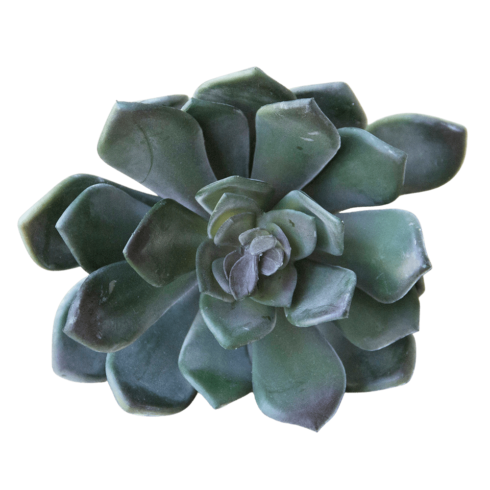 Succulents Fake Faux Lifelike Decorative Things - Chive UK Wholesale