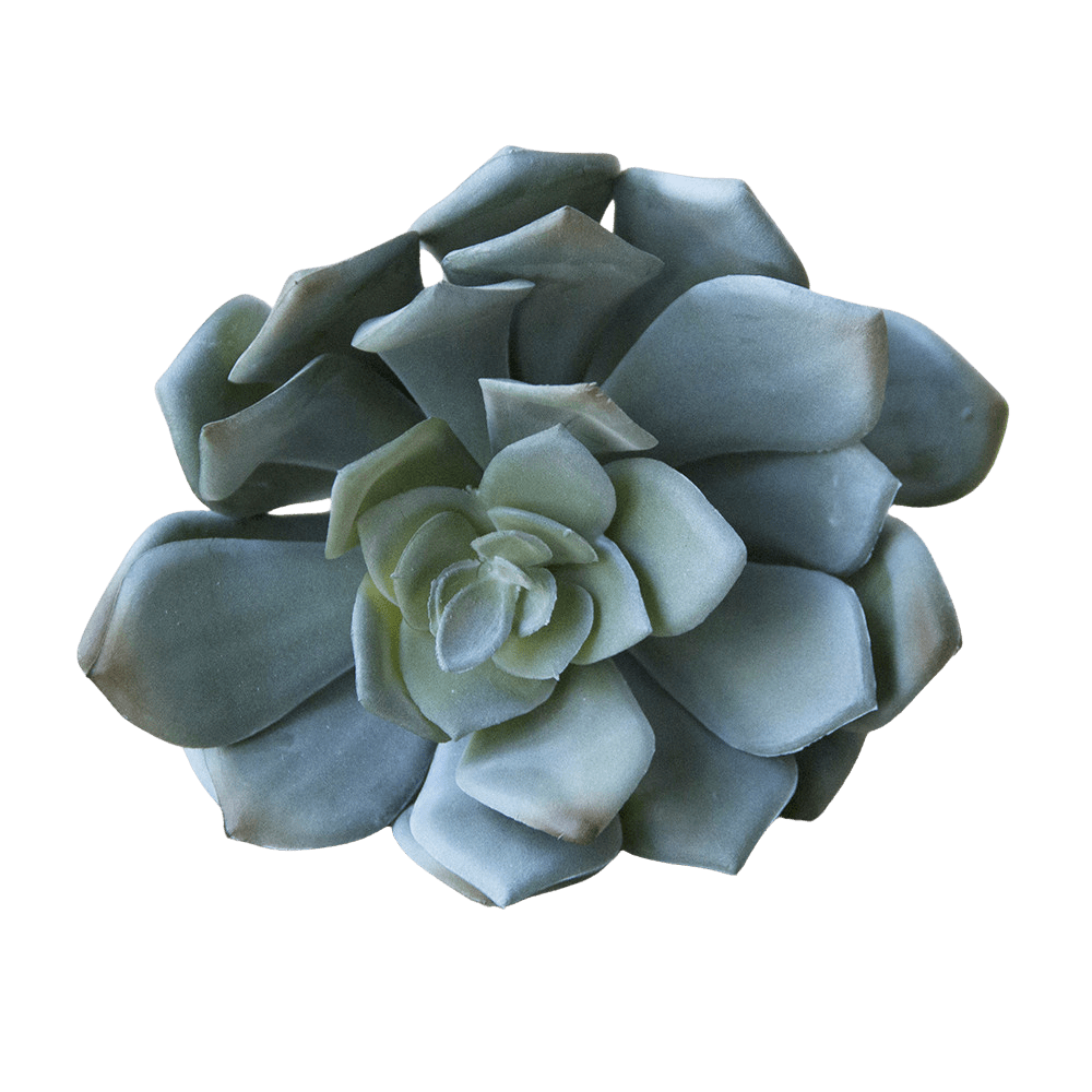 Succulents Fake Faux Lifelike Decorative Things - Chive UK Wholesale