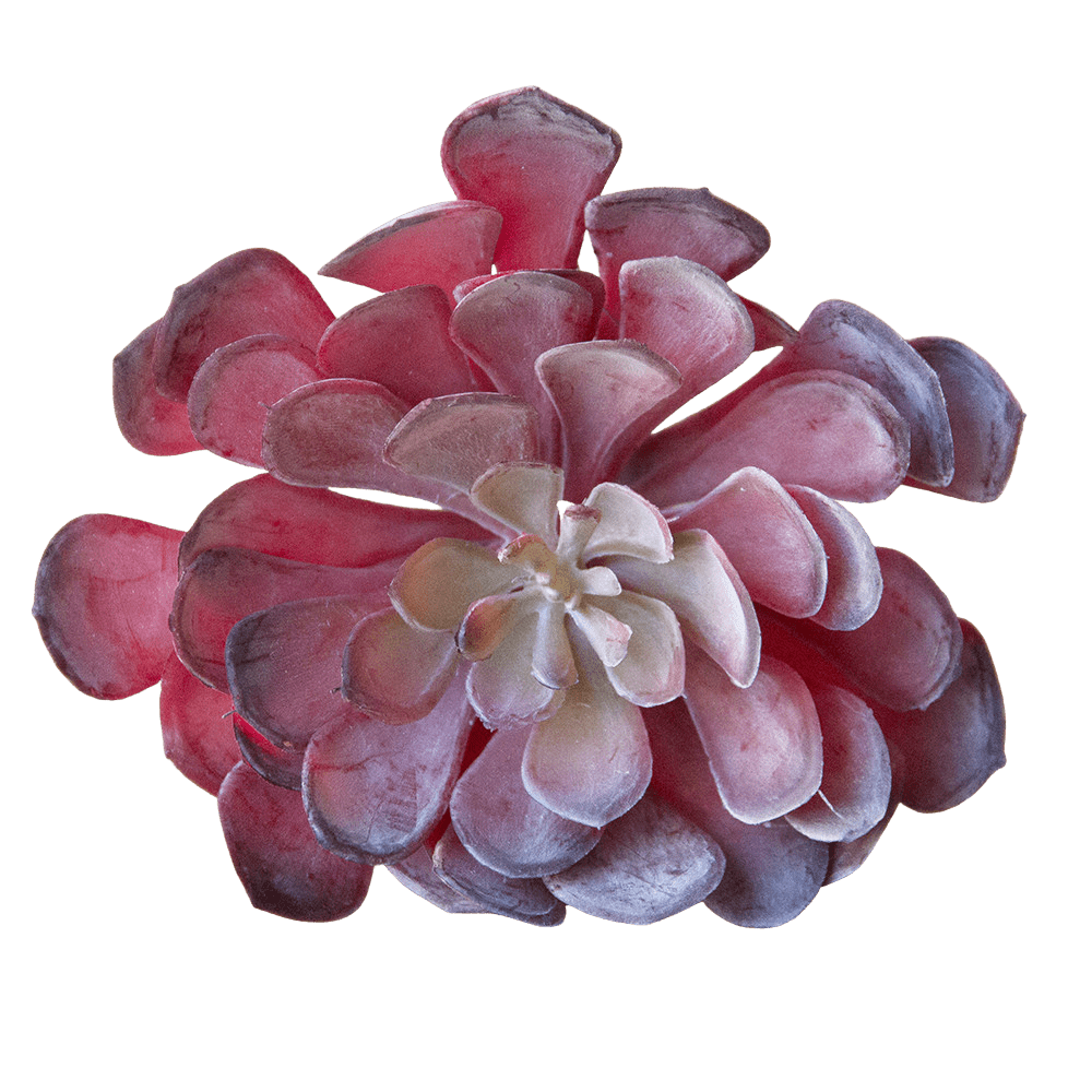 Succulents Fake Faux Lifelike Decorative Things - Chive UK Wholesale