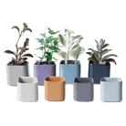 Svek Ceramic Indoor Succulent Pot Kits - Chive UK Wholesale