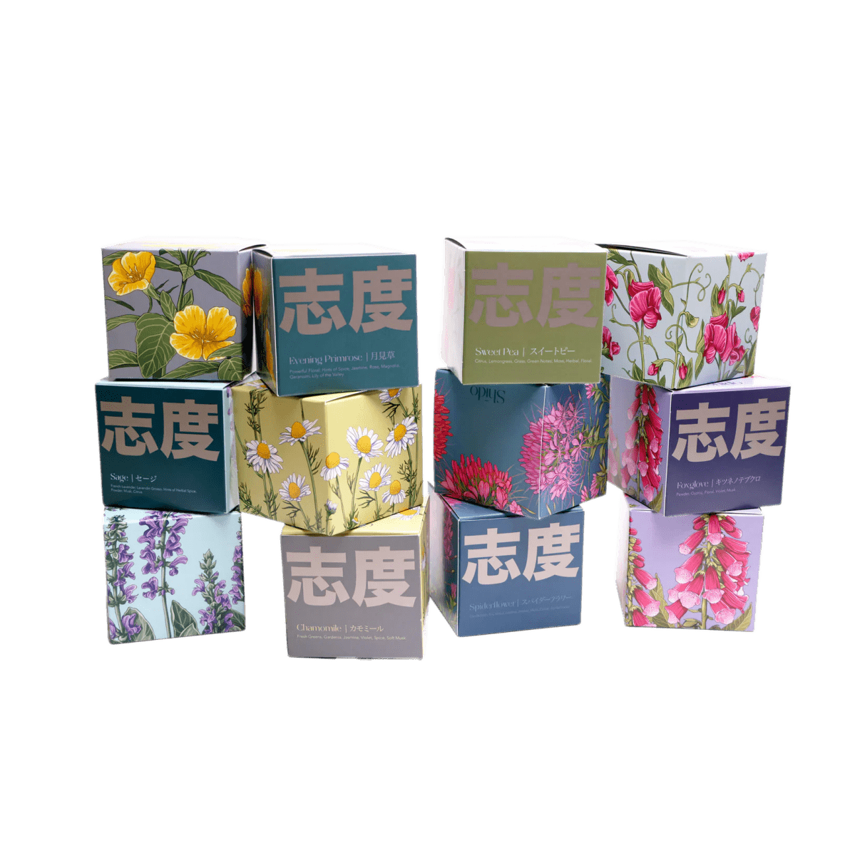 Shido Coconut Soy Blend Candle - Chive UK Wholesale