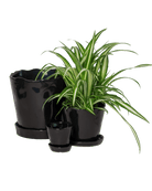 Tika Pot & Saucer | 3 inch - Chive UK Wholesale