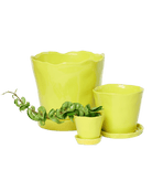Tika Pot & Saucer | 3 inch - Chive UK Wholesale