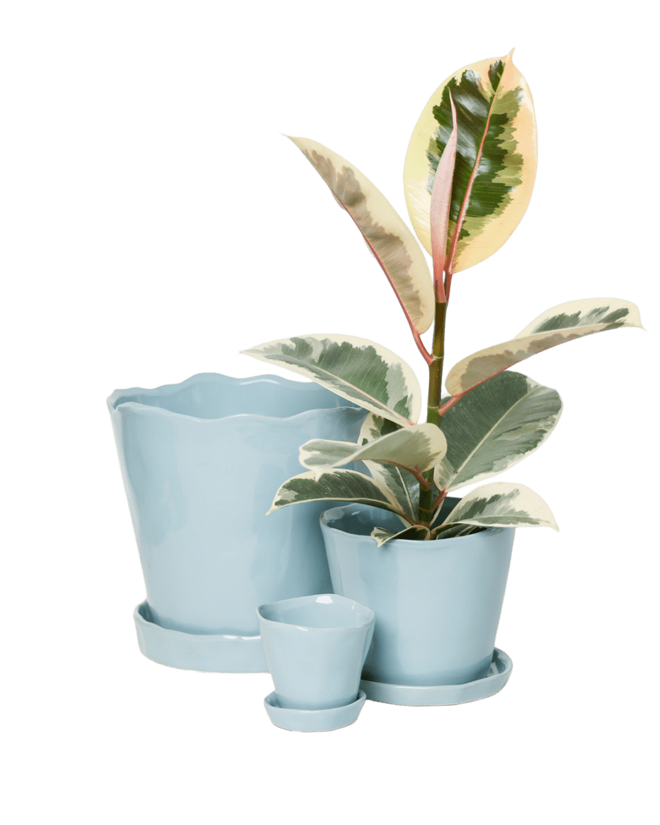 Tika Pot & Saucer | 5 inch - Chive UK Wholesale