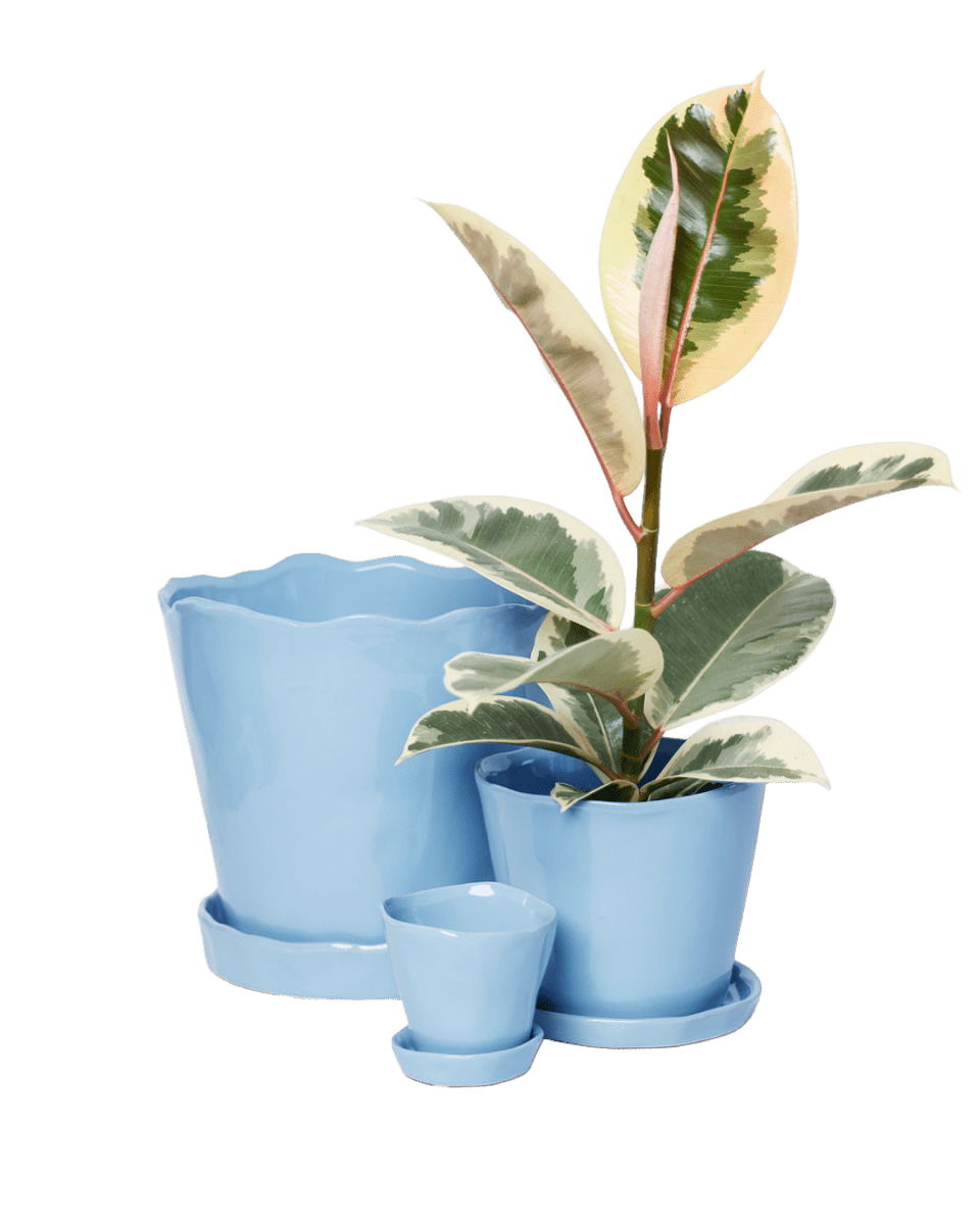 Tika Pot & Saucer | 5 inch - Chive UK Wholesale