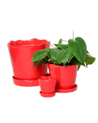 Tika Pot & Saucer | 3 inch - Chive UK Wholesale
