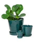 Tika Pot & Saucer | 3 inch - Chive UK Wholesale