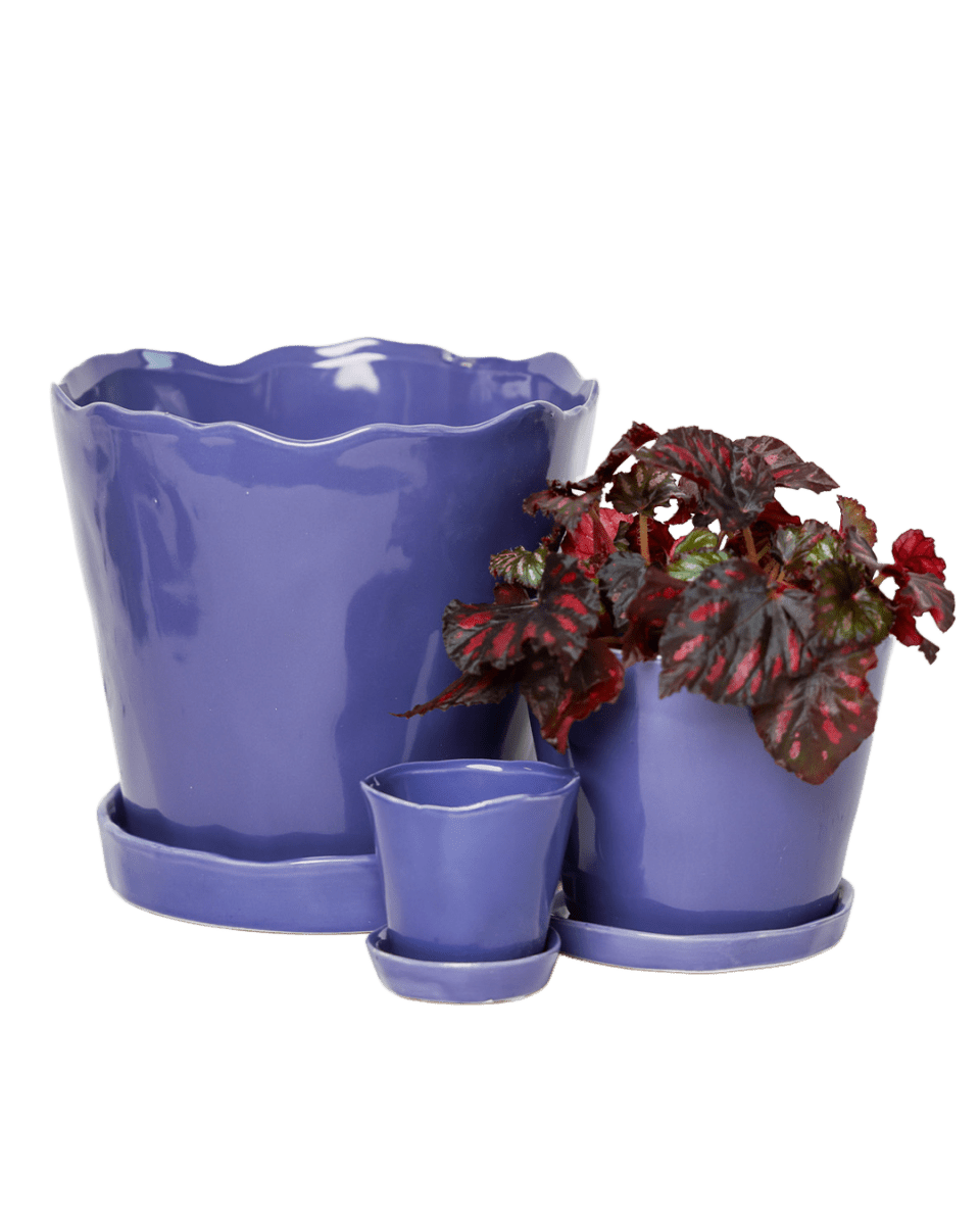 Tika Pot & Saucer | 5 inch - Chive UK Wholesale
