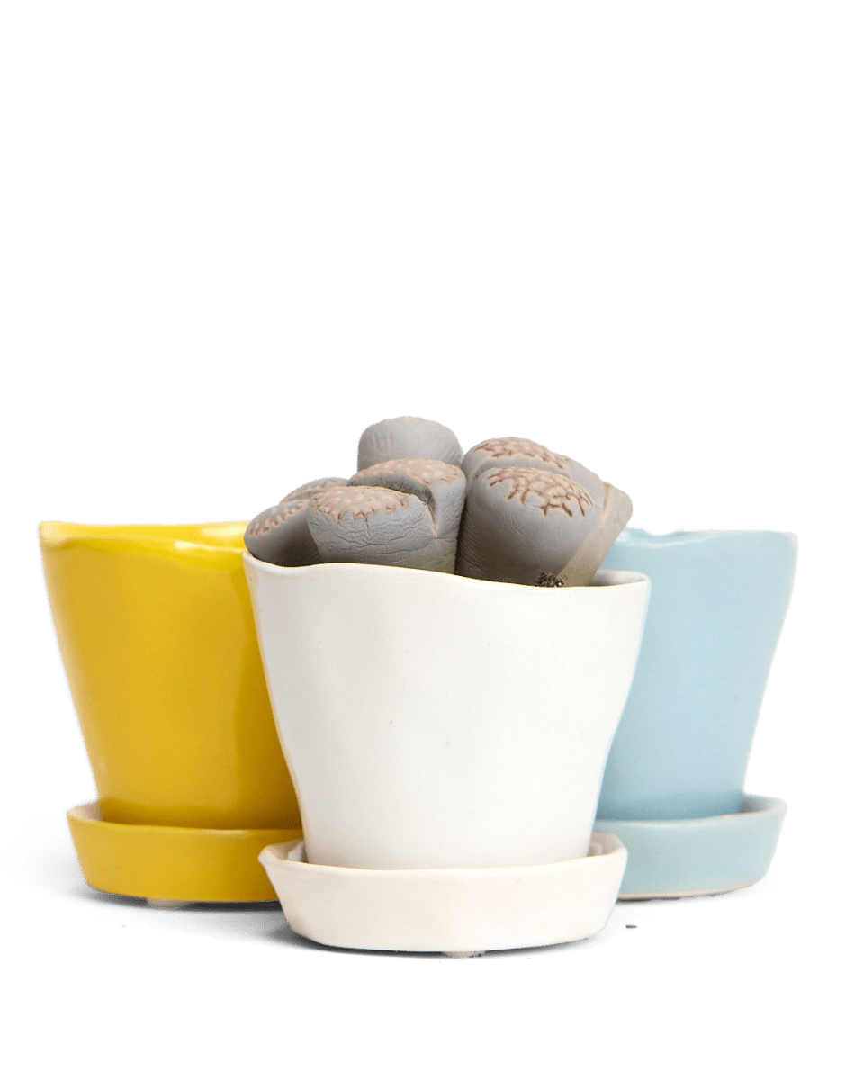 Tika Ceramic Pot & Saucer Set With Drainage - Chive UK Wholesale