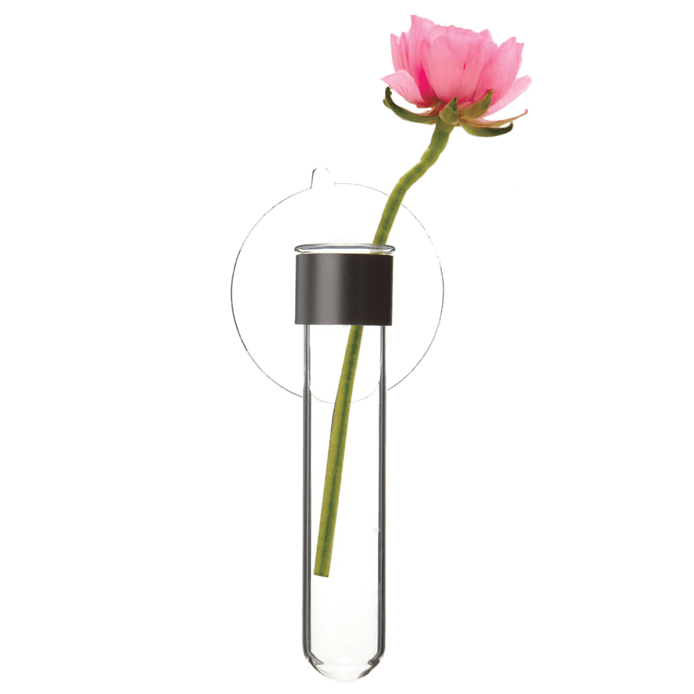 Test Tube Glass Bud Vases - Chive UK Wholesale