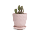 Virago 3.5" Porcelain Pot With Drainage Hole And Saucer - Chive UK Wholesale