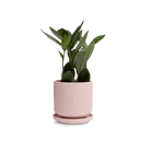 Virago 3.5" Porcelain Pot With Drainage Hole And Saucer - Chive UK Wholesale