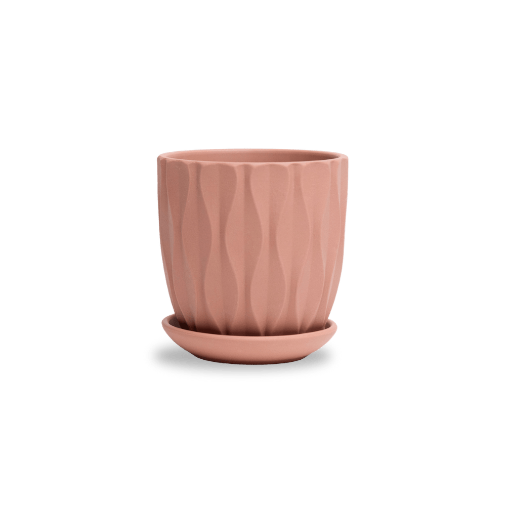 Virago 3.5" Porcelain Pot With Drainage Hole And Saucer - Chive UK Wholesale