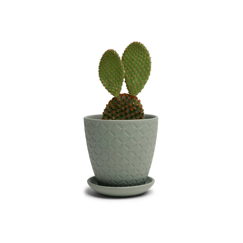 Virago 3.5" Porcelain Pot With Drainage Hole And Saucer - Chive UK Wholesale