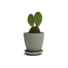 Virago 3.5" Porcelain Pot With Drainage Hole And Saucer - Chive UK Wholesale