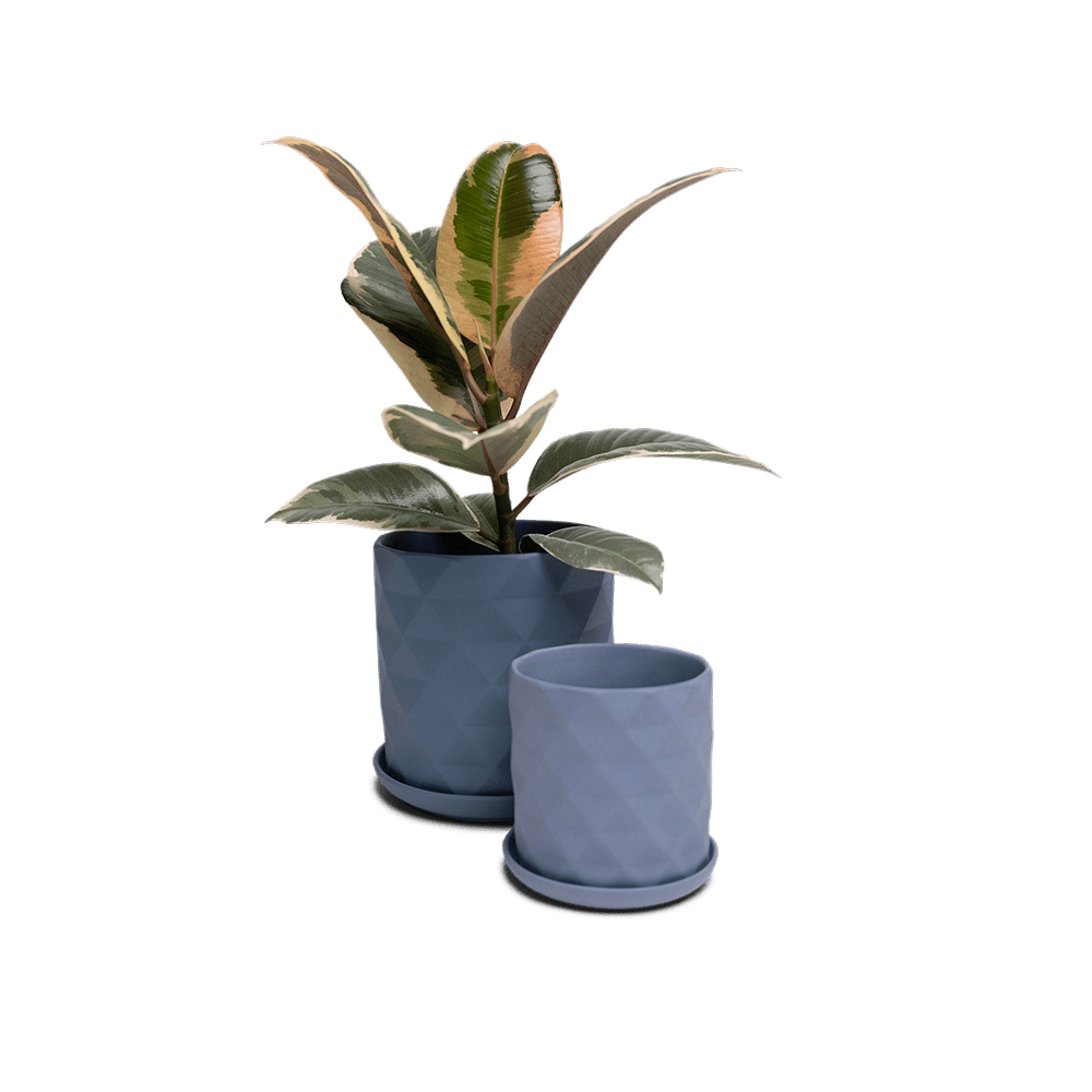 Virago 3.5" Porcelain Pot With Drainage Hole And Saucer - Chive UK Wholesale