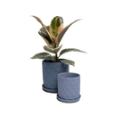 Virago 3.5" Porcelain Pot With Drainage Hole And Saucer - Chive UK Wholesale