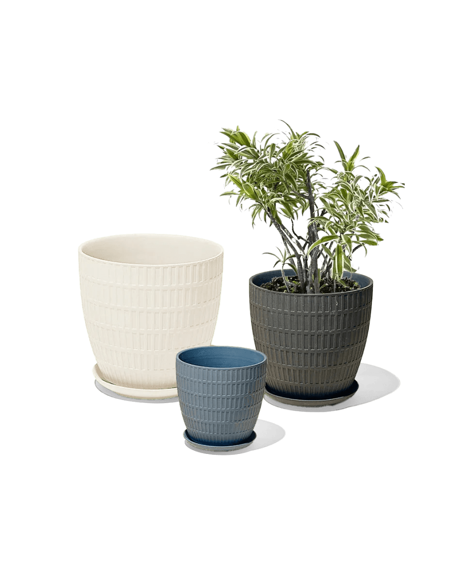 Virago Porcelain Pot With Drainage Hole And Saucer Kits - Chive UK Wholesale