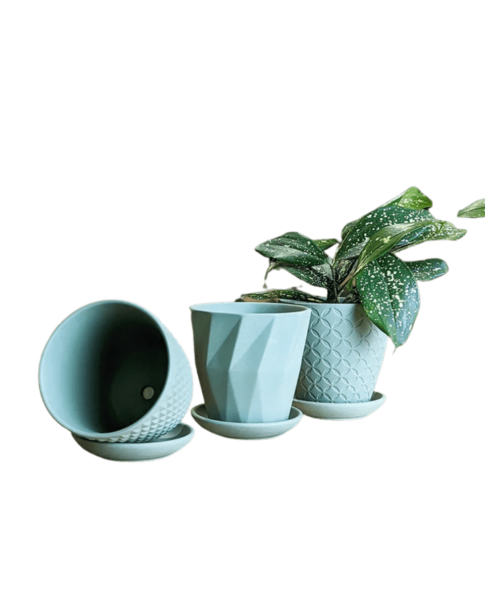 Virago Porcelain Pot With Drainage Hole And Saucer Kits - Chive UK Wholesale