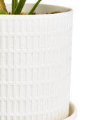 Virago 3.5" Porcelain Pot With Drainage Hole And Saucer - Chive UK Wholesale