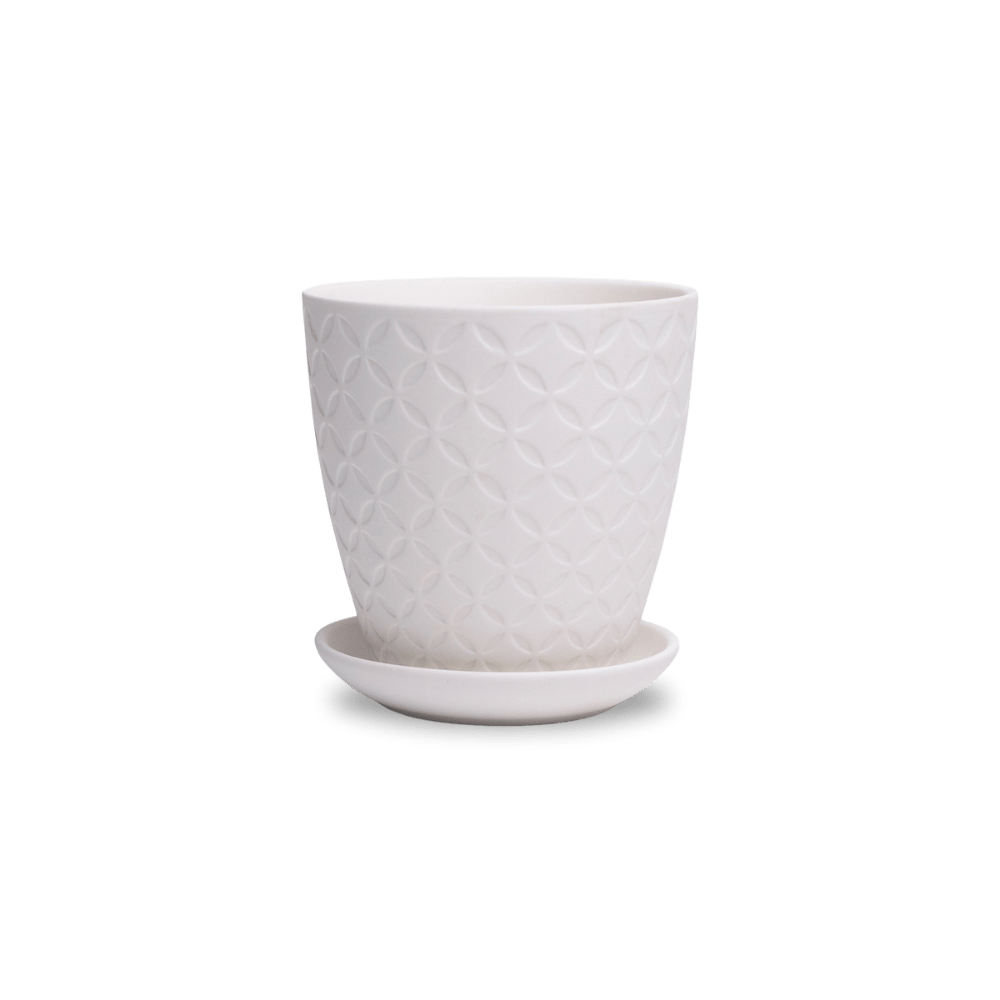 Virago 3.5" Porcelain Pot With Drainage Hole And Saucer - Chive UK Wholesale