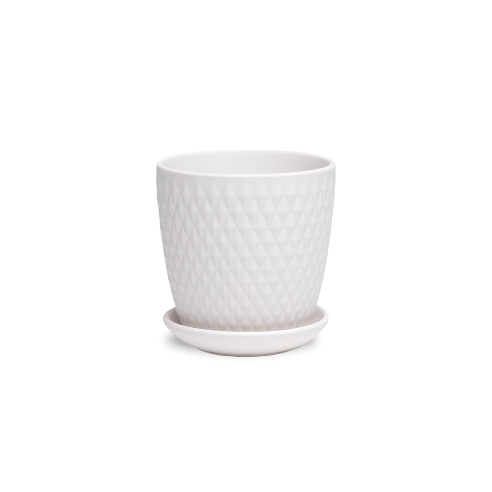 Virago 3.5" Porcelain Pot With Drainage Hole And Saucer - Chive UK Wholesale