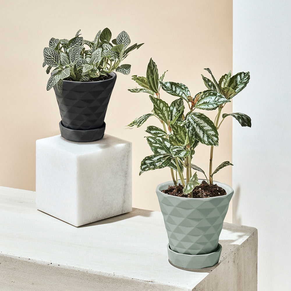 Diamond Porcelain Modern Indoor Plant Pot With Saucer Kit - Chive UK Wholesale