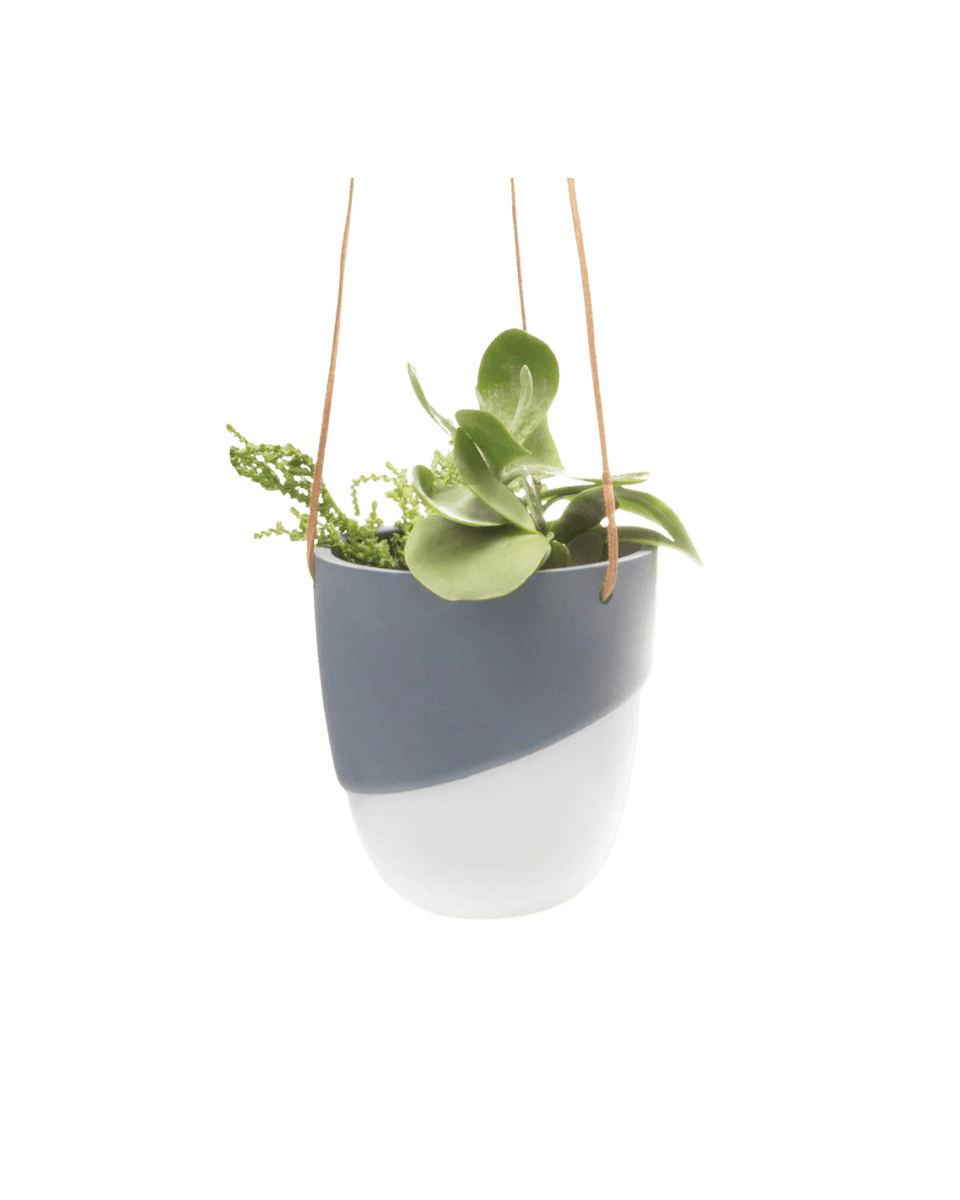 Bobbin Porcelain Modern Hanging Indoor Plant Pot - Chive UK Wholesale