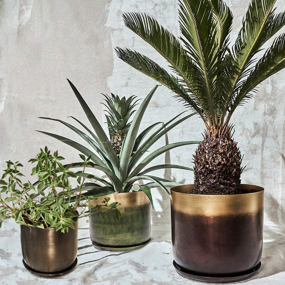 Joe Metal Pot With Drainage Hole Kits - Chive UK Wholesale