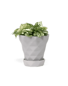 Diamond Porcelain Modern Indoor Plant Pot With Saucer - Chive UK Wholesale