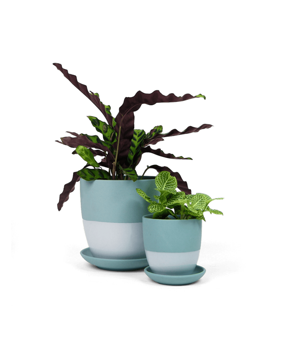 Dyad Porcelain Modern Indoor Plant Pot With Saucer - Chive UK Wholesale