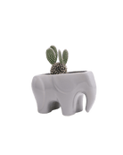 Elephant Ceramic Indoor Plant Pot Kit - Chive UK Wholesale