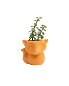 Fox Ceramic Indoor Plant Pot For Succulents - Chive UK Wholesale