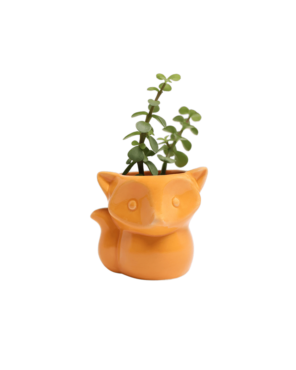 Fox Ceramic Indoor Plant Pot For Succulents - Chive UK Wholesale