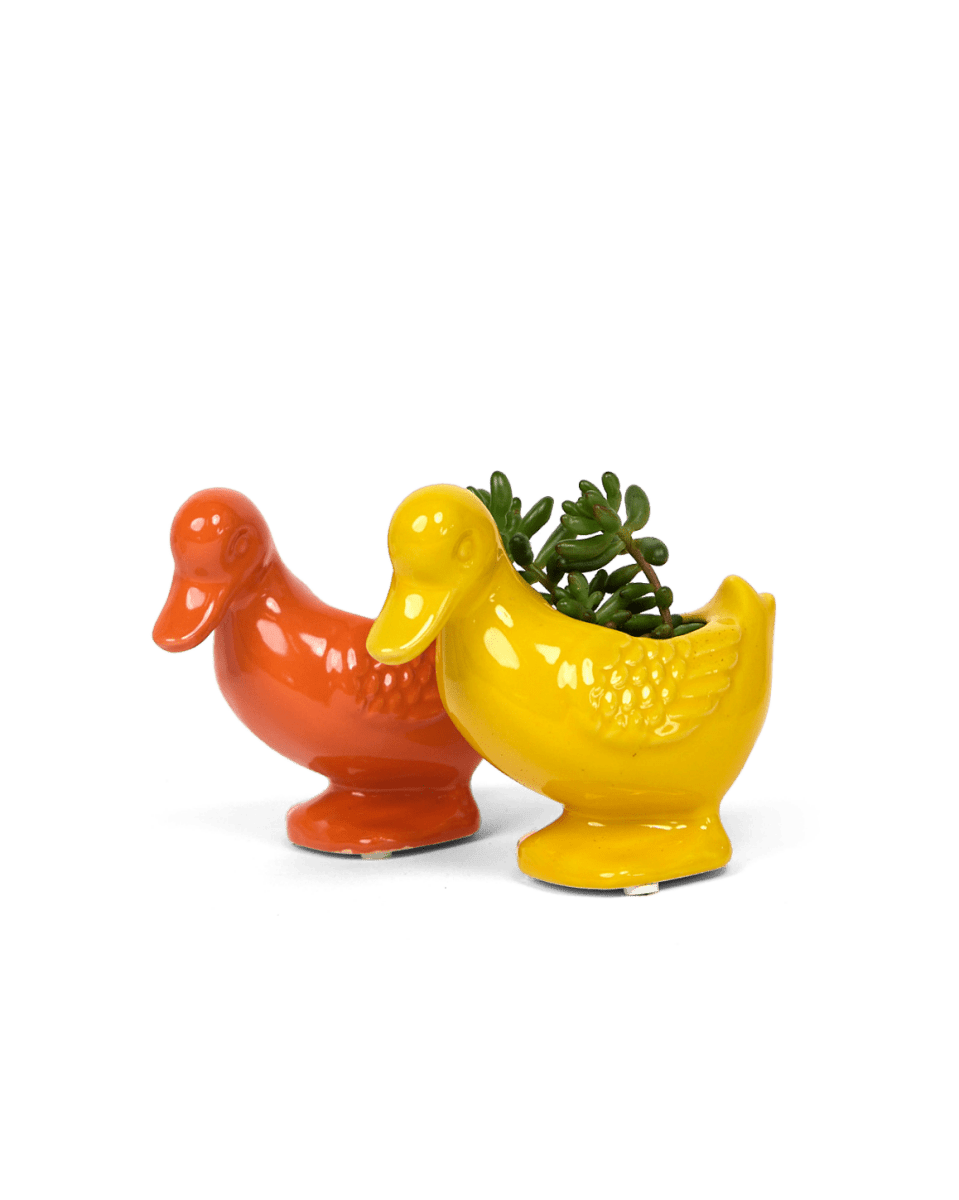 Duck Ceramic Indoor Plant Pot For Succulents - Chive UK Wholesale