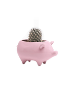 Pig Ceramic Indoor Plant Pot For Succulents - Chive UK Wholesale