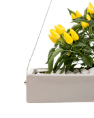 Ragna Ceramic Hanging Planter - Chive UK Wholesale