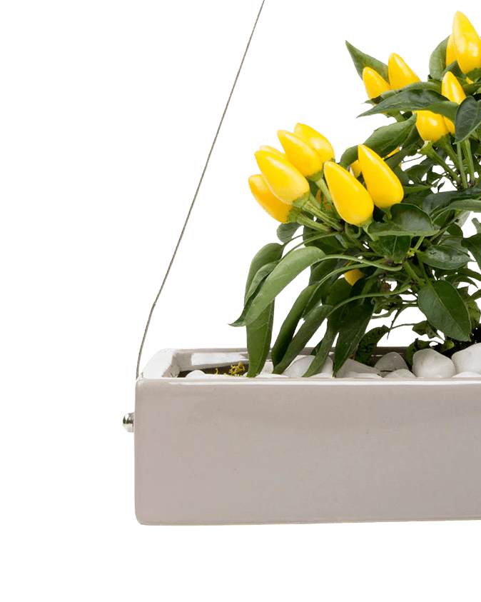 Ragna Ceramic Hanging Planter - Chive UK Wholesale