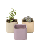 Svek Ceramic Indoor Succulent Pot - Chive UK Wholesale