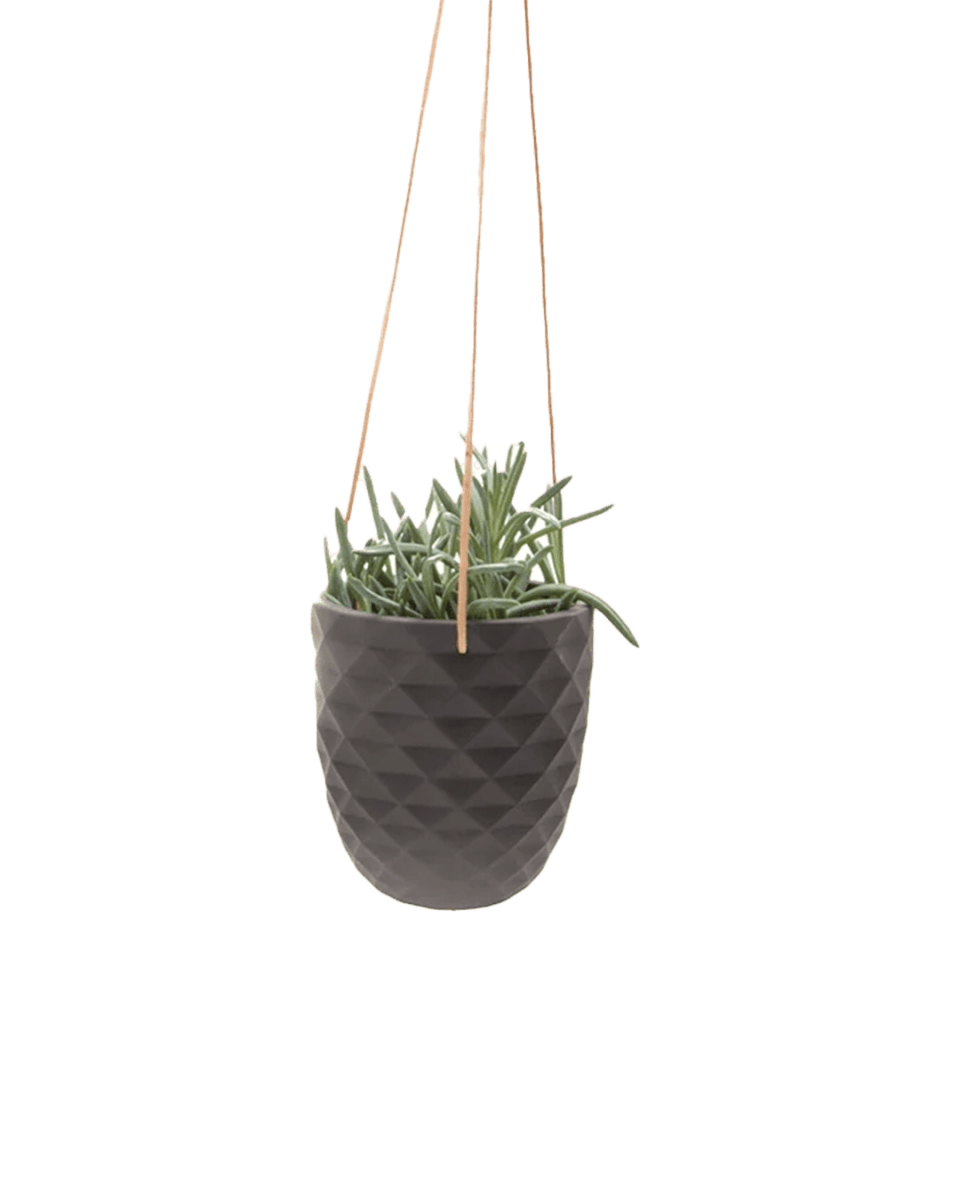 Thimble Porcelain Modern Hanging Planter - Chive UK Wholesale